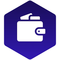 Payment & Wallet Integration